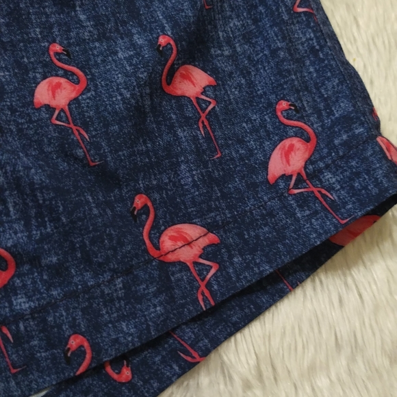 Flamingo Trunks Men's Swim Shorts - Picture 2 of 7